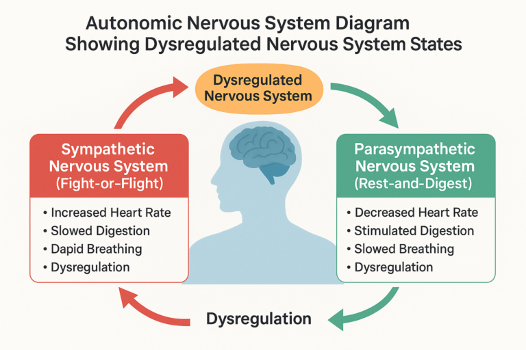 Autonomic Nervous System Diagram Showing Dysregulated Nervous System States