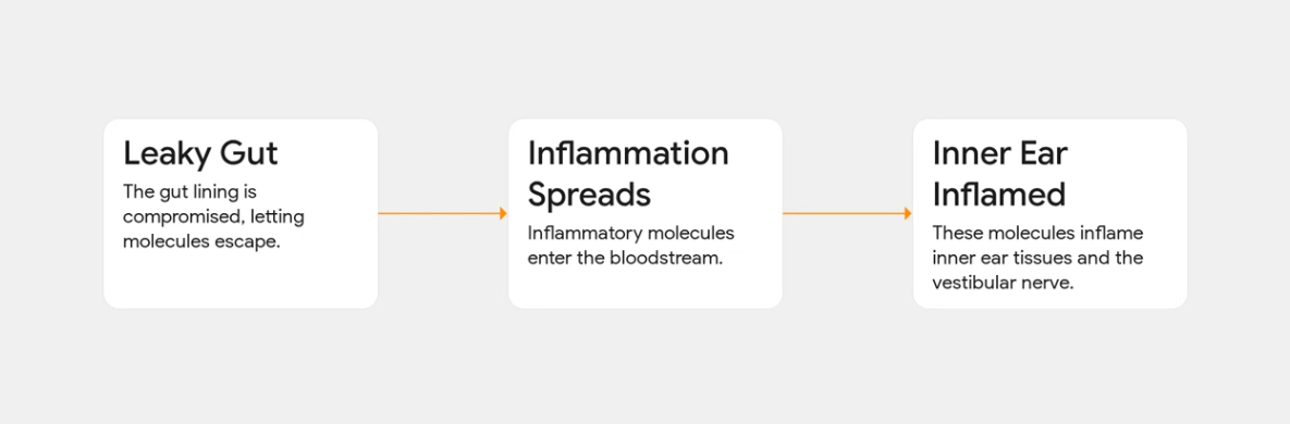 Gut Inflammation Pathway Leading to Inner-Ear Dysfunction