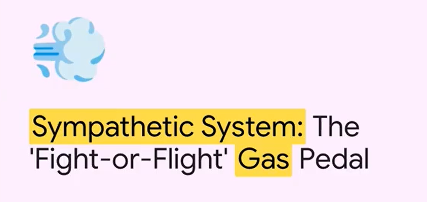 Illustration of a cloud icon with text reading “Sympathetic System: The ‘Fight-or-Flight’ Gas Pedal.”