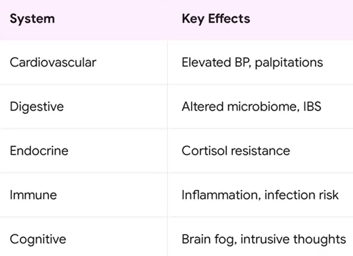 Table listing how anxiety affects the cardiovascular, digestive, endocrine, immune, and cognitive systems.