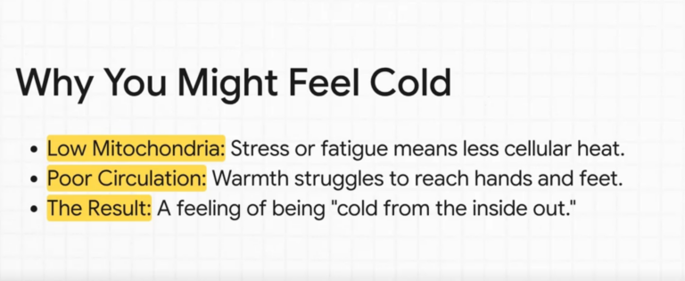 List showing how low mitochondrial activity and poor circulation cause cold sensations.”
