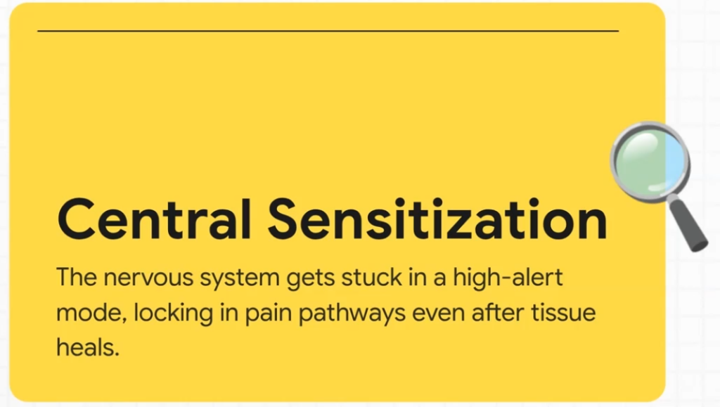 Yellow box defining central sensitization as the nervous system stuck in high-alert mode, keeping pain pathways active.