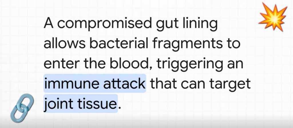 Text explaining how a compromised gut lining allows bacterial fragments to trigger immune attacks on joint tissue.