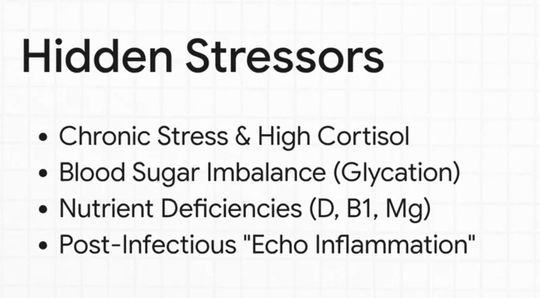 List showing chronic stress, blood sugar imbalance, nutrient deficiencies, and post-infectious inflammation.