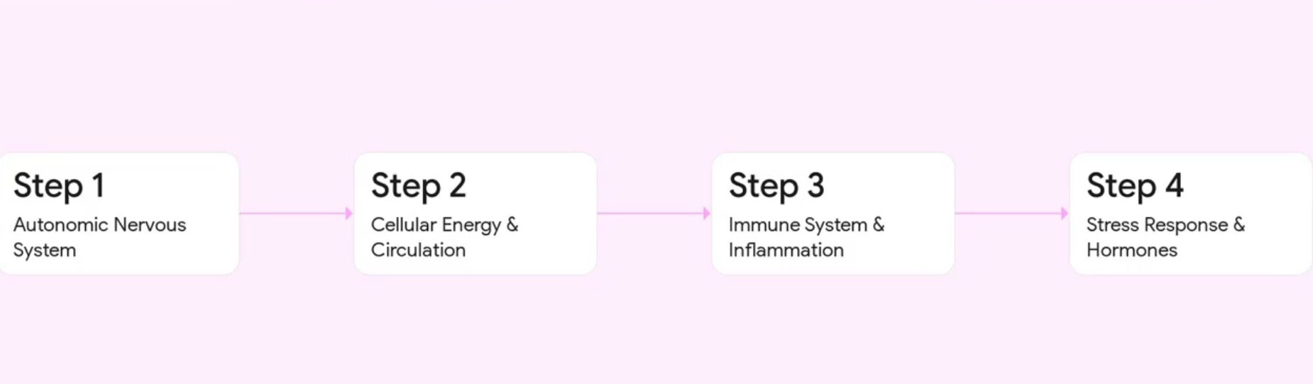 Flowchart showing four steps: autonomic nervous system, cellular energy and circulation, immune inflammation, and stress hormones